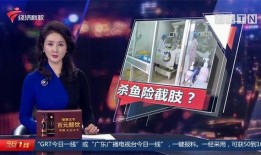 海哥爆料新闻最新消息视频,最新热点视频揭秘，精彩内容抢先看！